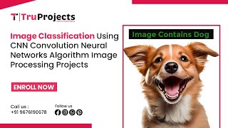 Image Classification Using CNN Convolution Neural Networks Algorithm    image processing projects