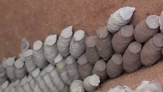 Әйел түрмесінің сексуалдық фильмі