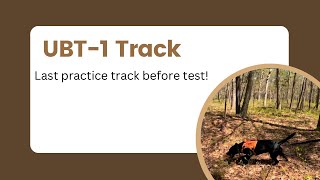 Final UBT-1 Practice Track | Blind Blood Track | Midwest Blood-tracking Symposium Prep