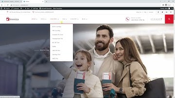 Immiza Theme Setup Wizard