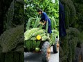 Giant Karela Car on the Road? 😱🚗🥒#shorts #story #emotional #funny #story