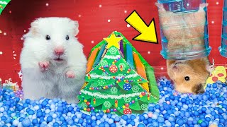 Hamster Race Escape POPIT Christmas Maze