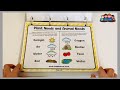 Toddlearner Life Science Learning Binder. Part 1