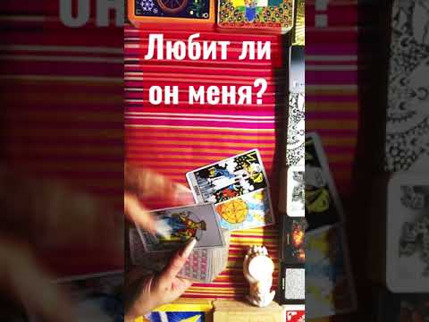 Любит ли он