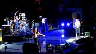 Flea's Dance