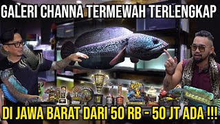 GALERI CHANNA TERMEWAH TERLENGKAP DI JAWA BARAT DARI 50RB50JT ADA!!  CHANNA SYSTEM SYNDICATE