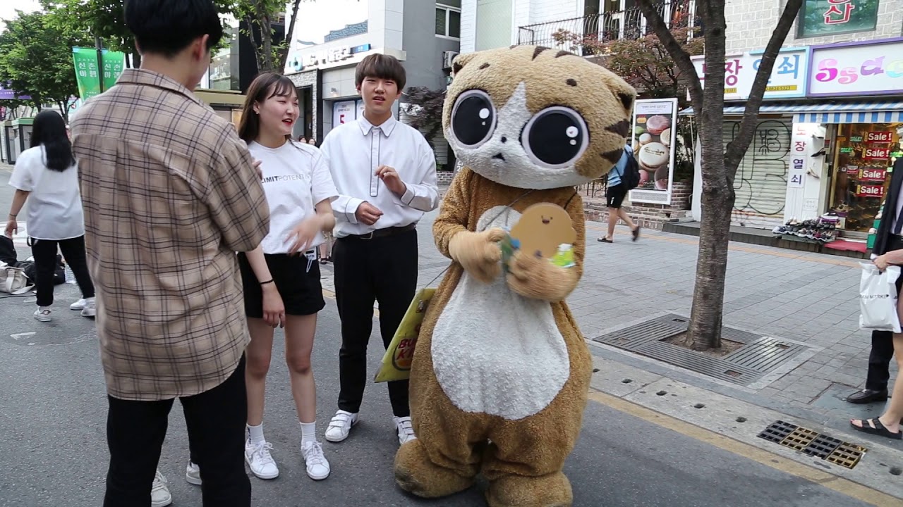 cococat&JHKTV]신촌명물고양이퇴근시간 앗사라비야 s shin chon special cat It's time to get off work in Assarabia.
