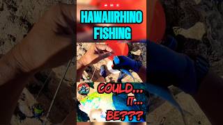 Casting LIVE LAI with the Fishcam 🐟🎣👀 #livebait #fishcam #hawaiirhinofishing