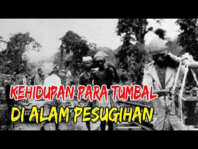 CERITA MISTERI KISAH NYATA : KEHIDUPAN PARA TUMBAL DI ALAM PESUGIHAN class=