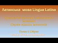 Латинська #LinguaLatina Граматичні категорії латинського іменника Перша відміна іменників