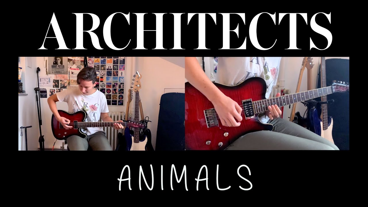Architects Animals Guitar Cover Youtube