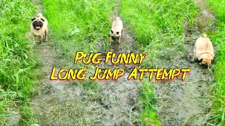 Funny Pug Dog Long Jump Attempt 😍😀😍 #Flora_pug