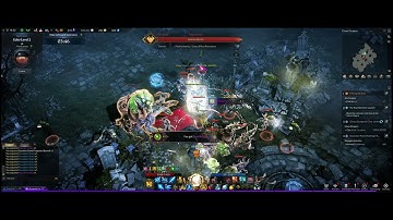 【Lost Ark】Paladin/Holy Knight Chaos Dungeon Gameplay