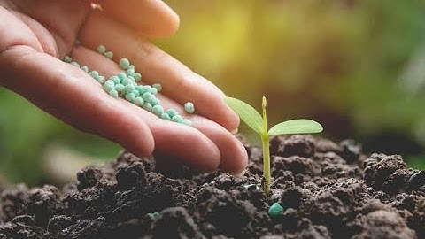 The Power of Biofertilizers  Enhancing Sustainable Agriculture (6 Minutes Microlearning)