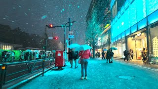 2024年2月 豪雪の東京【4K HDR】