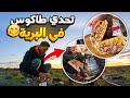 حياة البرية:تحدي تحضير أكبر طاكوس في البرية 🏕يستحق المشاهدة ‼️#camping