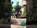 【3ステップで完璧】初心者でもプロ級に植える方法 #園芸 #ガーデニング #shorts