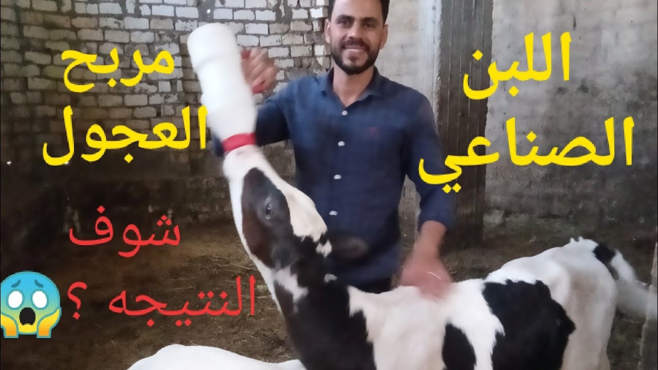 “أزاي تحضر اللبن الصناعي بطريقة آمنة — تجنب 5 أخطاء خطيرة!” ١٨ سبتمبر ٢٠٢٥