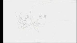 X42_05_A.avi