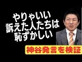 【参政党】DIY原点について神谷宗幣議員が【一人語り】言及・・・・しかし