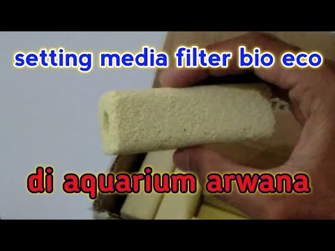 Setting media filter eco bio block di aquarium arwana