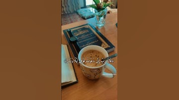 نوح #قرآن #المصحف #لايك #تلاوة_خاشعة #راحة_نفسية