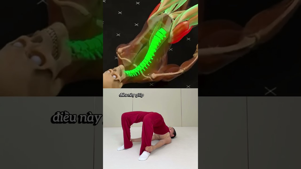 Reduces lower back tension | Provides better hip support | Improves posture and breathing #viral