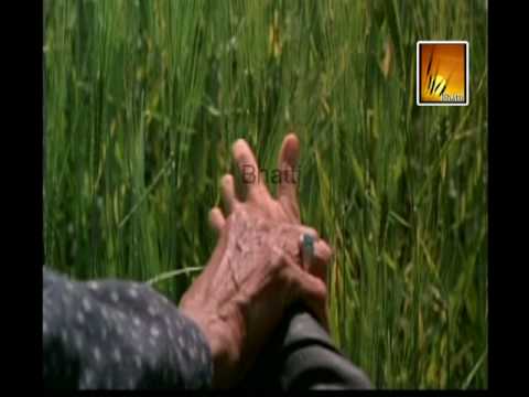 pareshan jad vi tu mp3 pareshan jad vi tu mp3