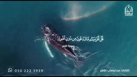 القارئ عبدالوهاب طاهر ||ماتيسر من سورة الزمر