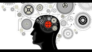 Does Age or Physical Capacity Matter in Public Service?