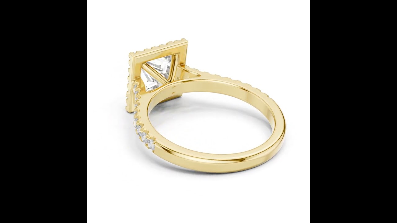 Princess Cut Halo Diamond Cathedral Shank Ring
