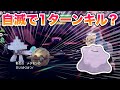 【検証】メタモンレイドで「だいばくはつ」をコピーさせたら自滅で1ターンキルできんじゃね?【ポケモンSV/スカバイ】