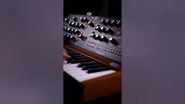 Behringer Poly D – Distorted Analog Sound #shorts