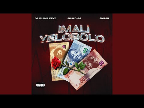 Imali Yelobolo
