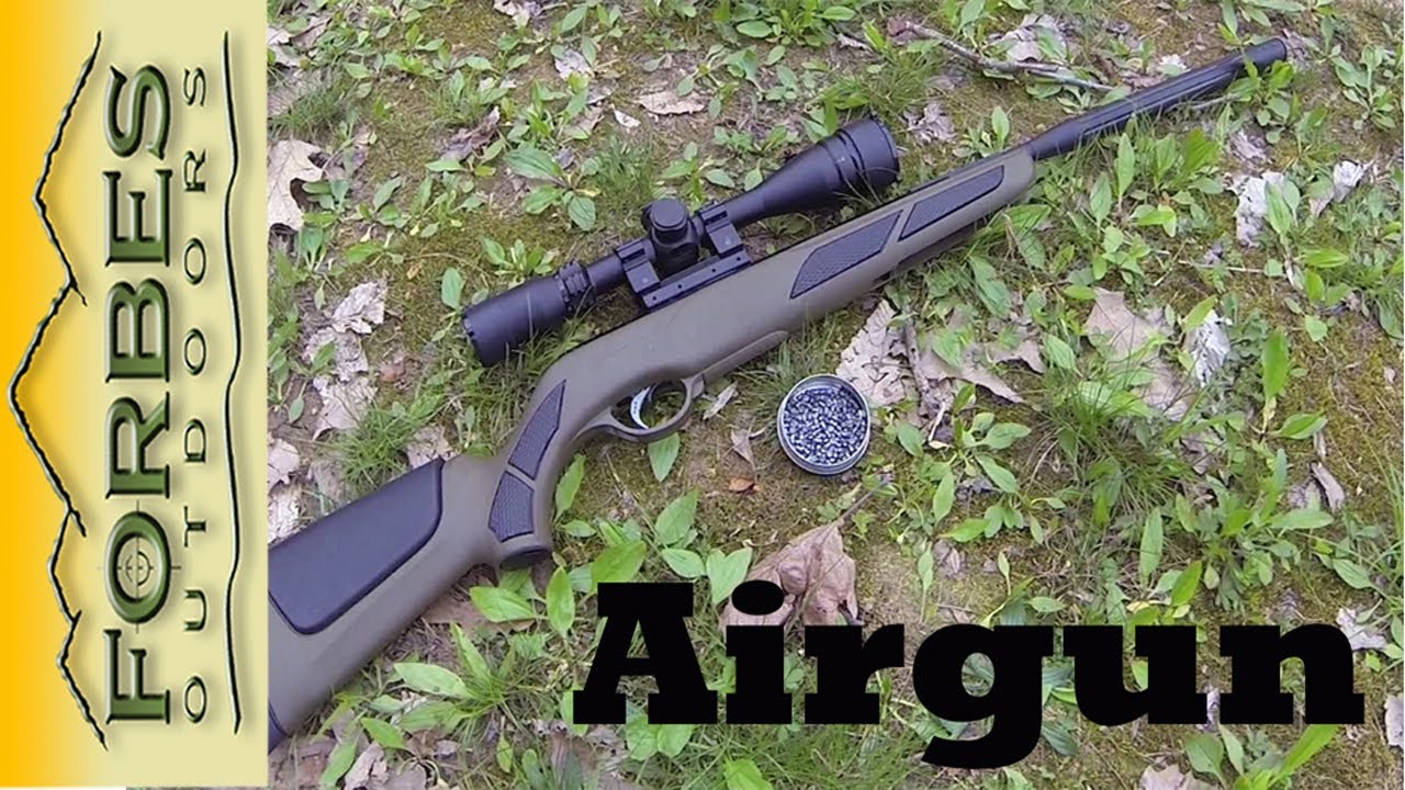 Fun with a Gamo Air Rifle - YouTube