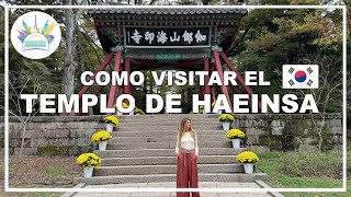 Cómo Visitar El Templo Haeinsa Guía Completa Consejos