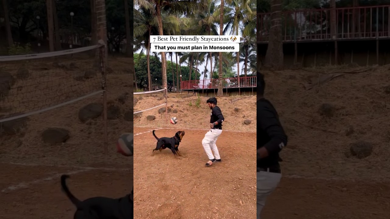 7 Best Pet Friendly Staycations that you must plan in Monsoons 🌧 