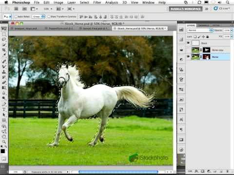 Adobe Photoshop CS5: Top 5 Features