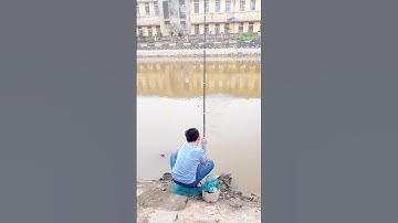 Câu Cá.Cần Thủ Câu Được Cá Mương. #mêcâucáedu #câucá #cá #câu #mecaucaedu #mồicâu #fishing #câulục