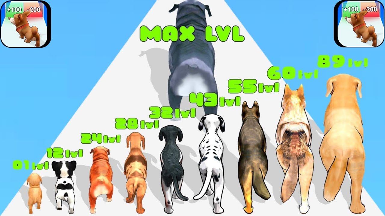Dog Evolution Run 3D - Level Up Dogs (Satisfying ASMR Gameplay) 1 vs Mx