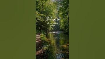 خَلَقَ السَّمَاوَاتِ بِغَيْرِ عَمَدٍ تَرَوْنَهَا   تلاوة تذكّرك بعظمة الخالق   الشيخ محمد المنشاوي