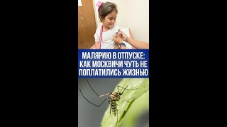 Кошмарный отпуск в Африке: москвичи столкнулись с малярией — что скрыто за счастливой улыбкой?