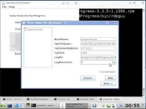 rdp4Progress-Setup.avi