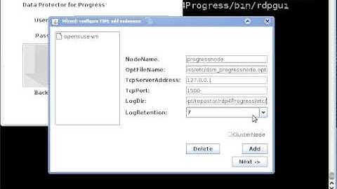 rdp4Progress-Setup.avi