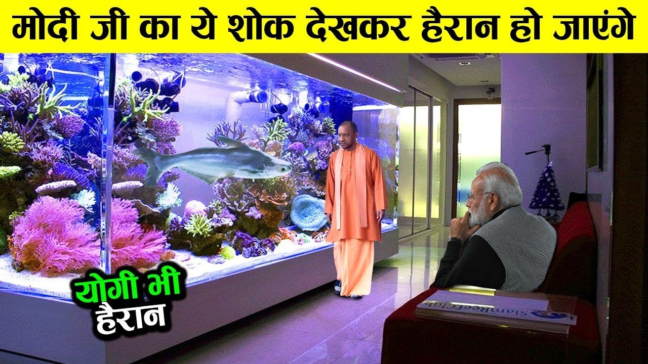 मोदी जी का ये शोक देख हैरान रह जाओगे ।15 UNUSUAL Home Aquariums and Fish Tanks YouTube