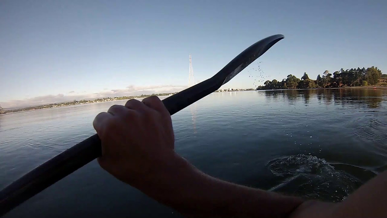 Tauranga inlet harbour paddle