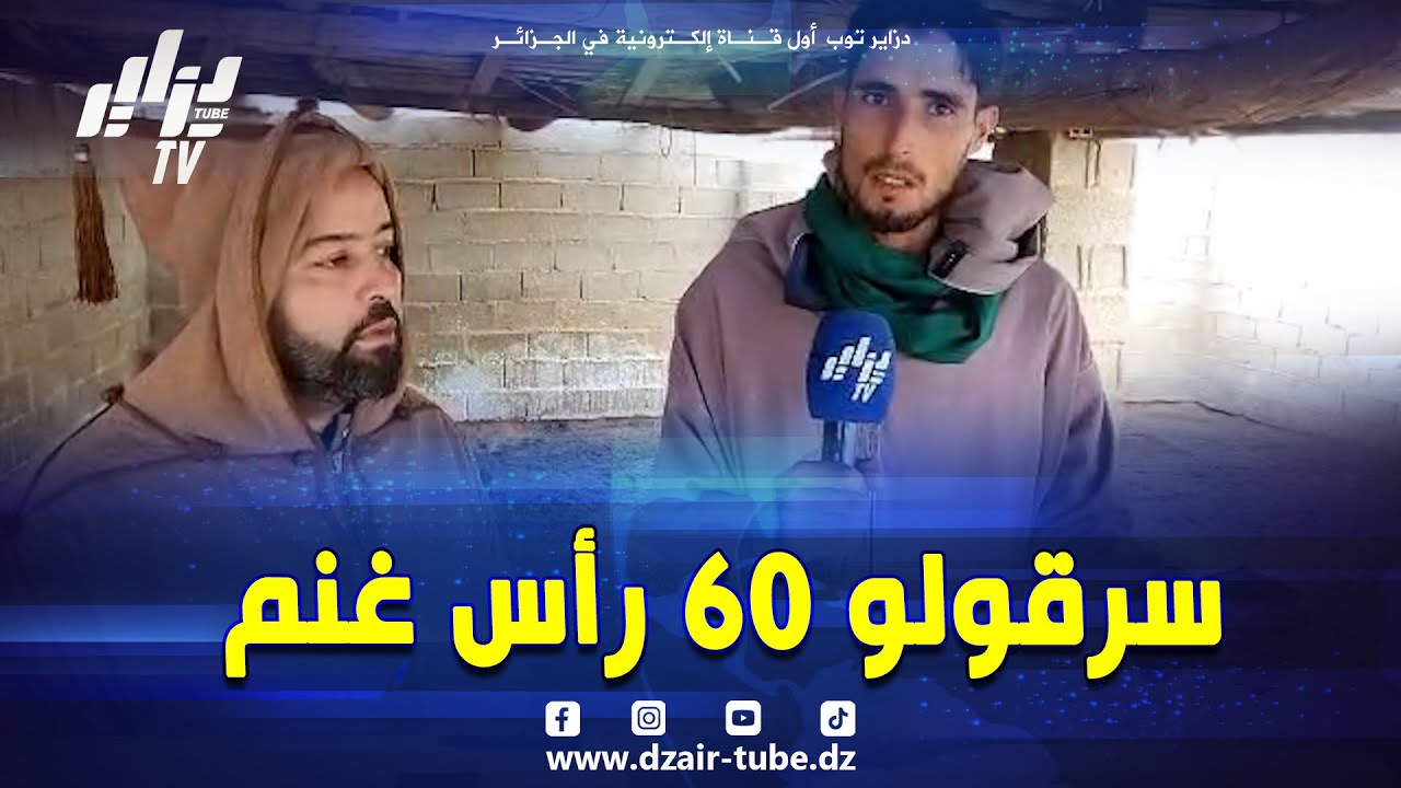 شاهد .. عصابة #سرقة_المواشي تستغل الرياح القوية ليلا 😡 و #تسطو على قطيع غنم أحد الموالين 🥺