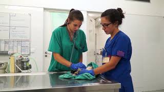 Download Lagu Promo UTAD MP3