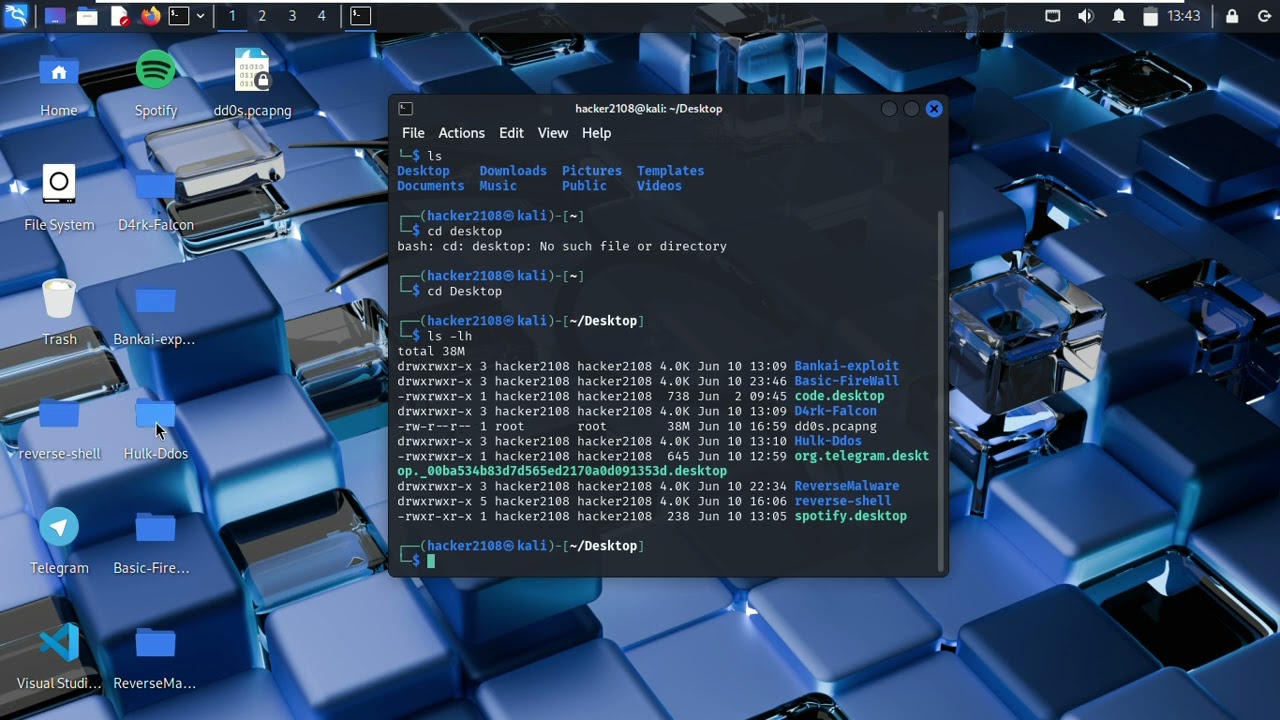 Premiers Pas sur Kali Linux : Navigation, Fichiers, Terminal (Guide Complet)