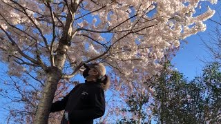 เลาอาการหลงจากฉดวคซนเขมท 2 ใตตนซากระคะ